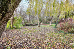 Photo 41- click for photo gallery